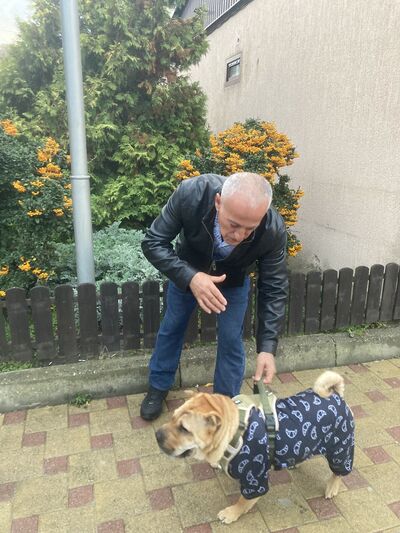  ,   , 47 ,   ,   , c , 