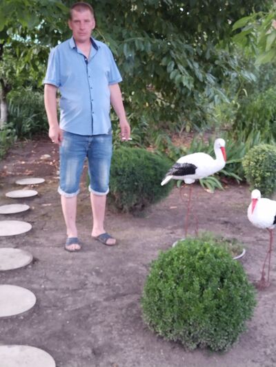  ,   , 40 ,   c 