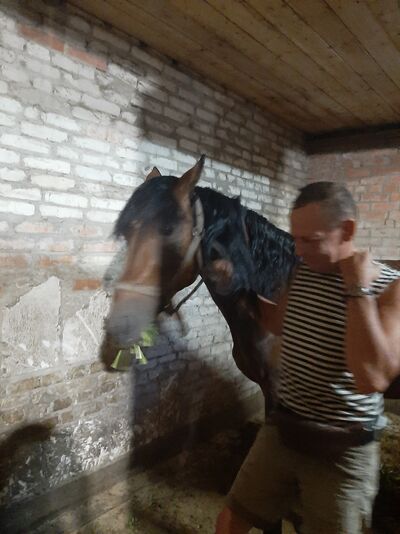  ,   , 55 ,   ,   