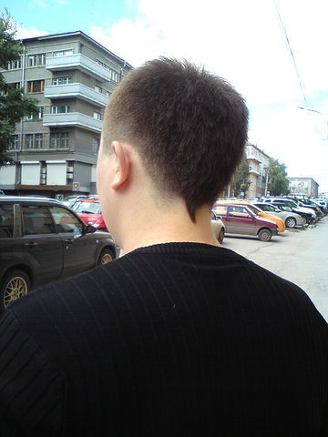  ,   Danila54, 36 ,   