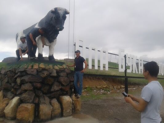  -,   Mirlan, 34 ,   
