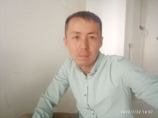  ,   , 43 ,   ,   