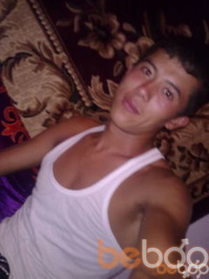  -,   Dastik, 33 ,     , c 