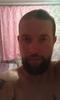  8499319  , 41 ,    