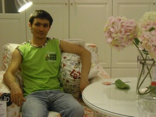  ,   Artek, 40 ,   