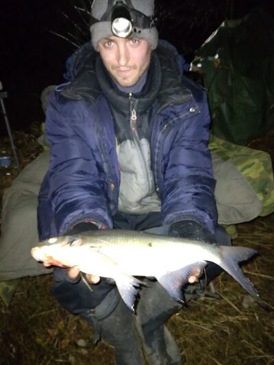  ,   , 31 ,   ,   , c , 