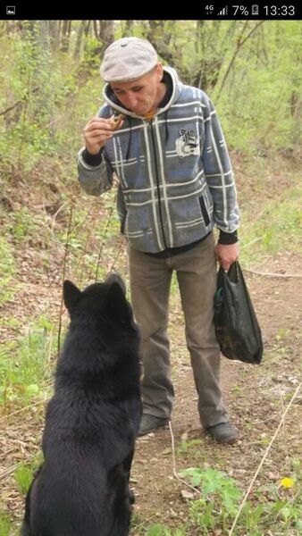  ,   , 54 ,   ,   , c , 