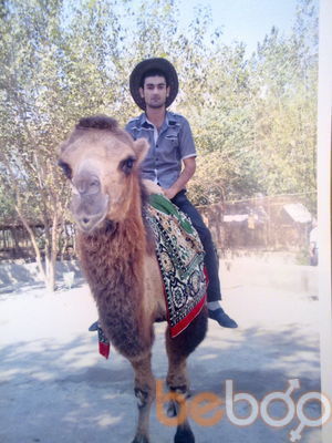 ,   Kamran, 34 ,   