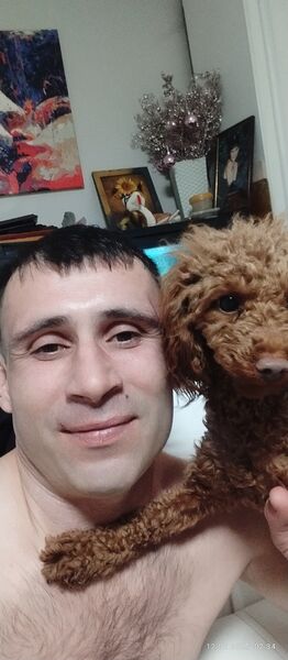  ,   , 41 ,   ,   , 