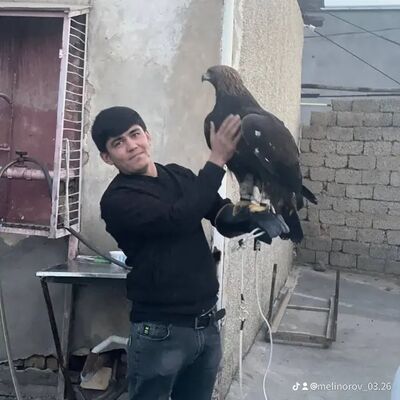  -,   , 29 ,     , c 
