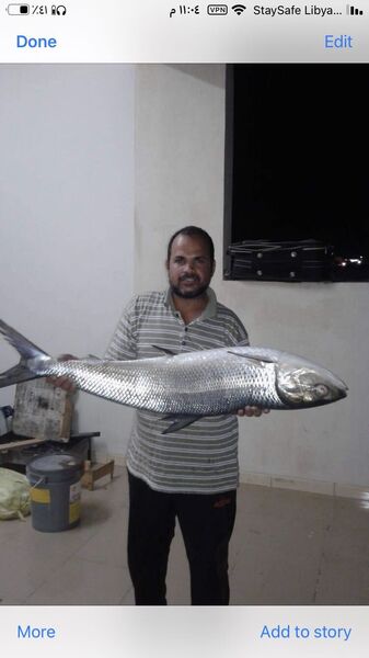  ,   Iprahim, 39 ,   ,   