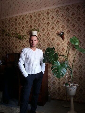  -,   Romeo, 41 ,   ,   , c 