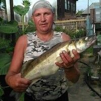  ,   , 58 ,   