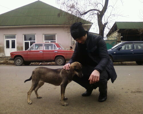  ,   FUAD, 37 ,     , c 