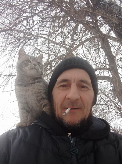  ,   , 49 ,     , c 