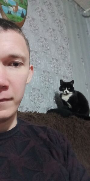  ,   , 28 ,     , c 