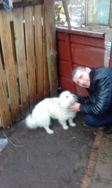   ,   Dmitriy, 38 ,   ,   , c , 