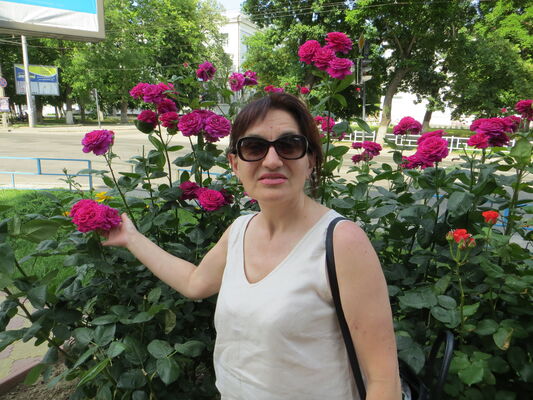  ,   , 65 ,   c 
