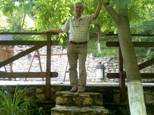  ,   , 67 ,  