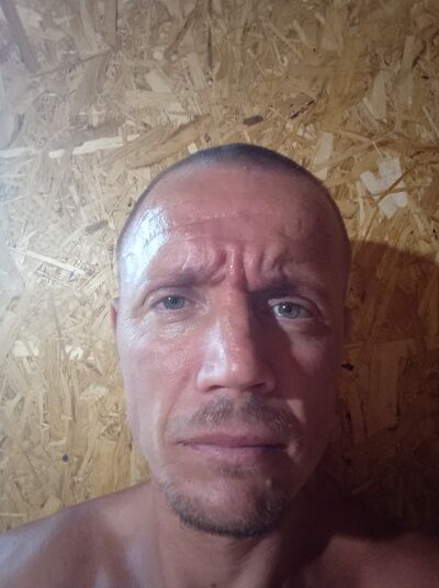  --,   , 40 ,   ,   