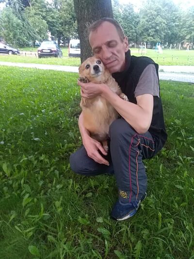  ,   , 52 ,   