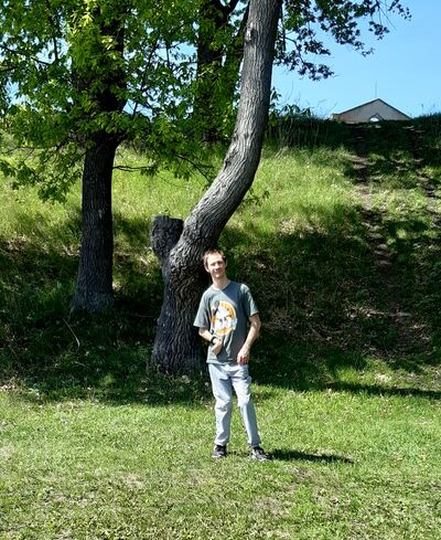  ,   , 31 ,     , c 