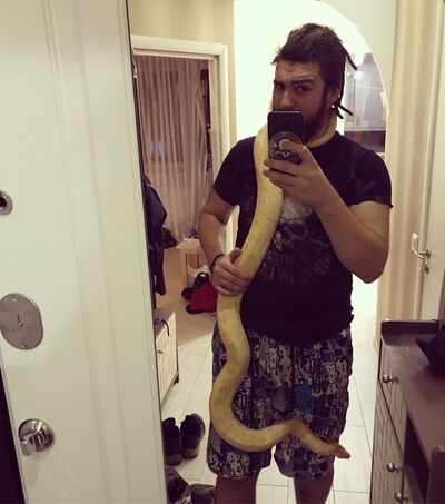  ,   , 33 ,  