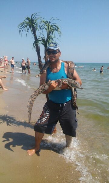 ,   EDGAR, 46 ,   ,   , c 