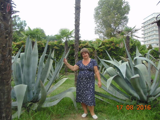  ,   , 52 ,   ,   , c 