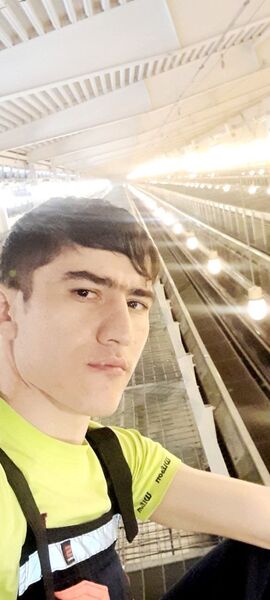  ,   , 30 ,   ,   