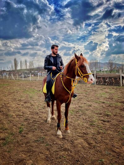  ,   Civan, 27 ,   ,   