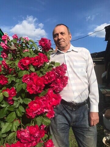  ,   , 72 ,   c , 