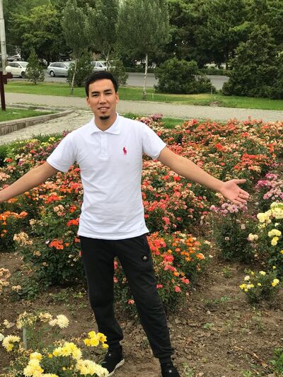 ,   , 33 ,  