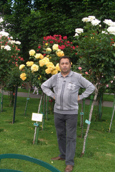  Ashqelon,   , 71 ,   
