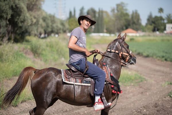  ,   Moshe, 45 ,   ,   , c 