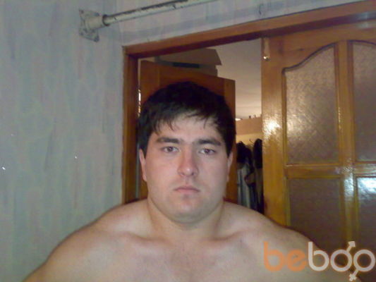  ,   Zver, 36 ,   ,   , c 