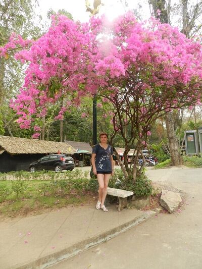   ,   , 60 ,   ,   , c 