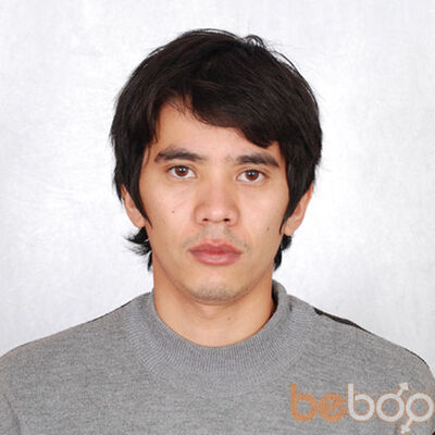  ,   Boogy, 41 ,   ,   , c 