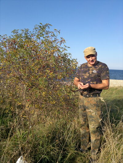  ,   , 59 ,   ,   , c , 