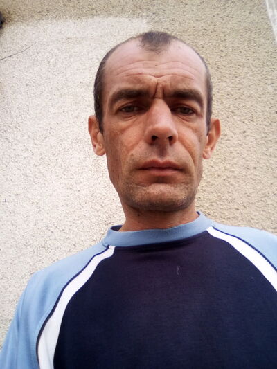  --,   , 44 ,   