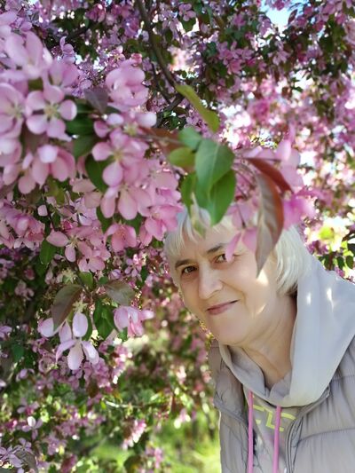  ,   , 55 ,   ,   