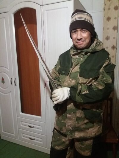  ,   , 46 ,   
