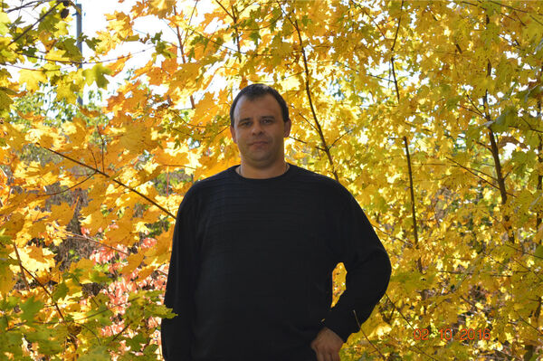   ,   , 48 ,   