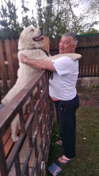  ,   Zoran, 48 ,   ,   