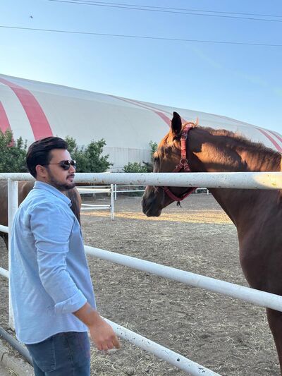  ,   Lion, 30 ,   ,   