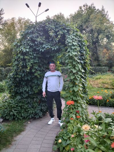  -,   , 46 ,   c 