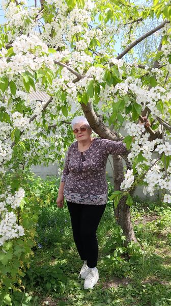  ,   , 68 ,   ,   