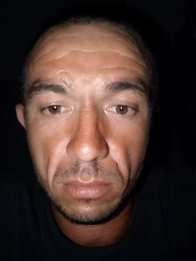   ,   , 41 ,  