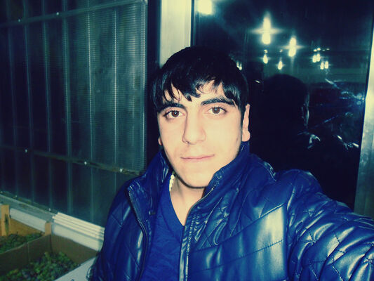  ,   HOVO, 33 ,     , c 