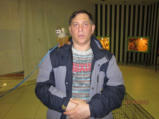  ,   , 51 ,   ,   , c , 